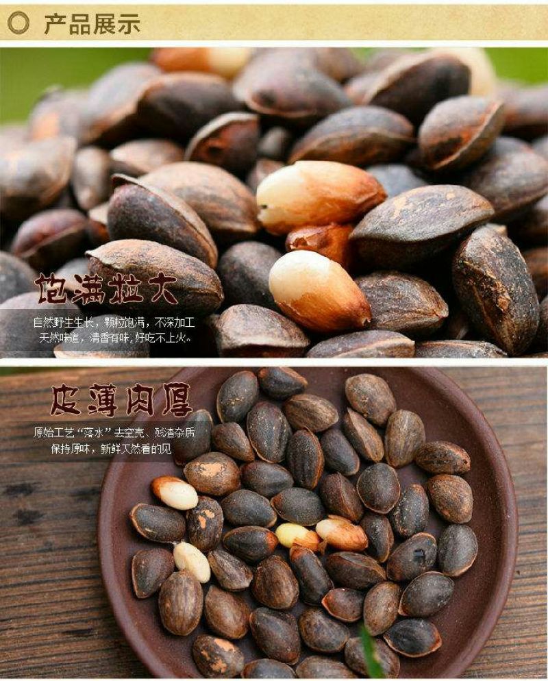 华山松子特级