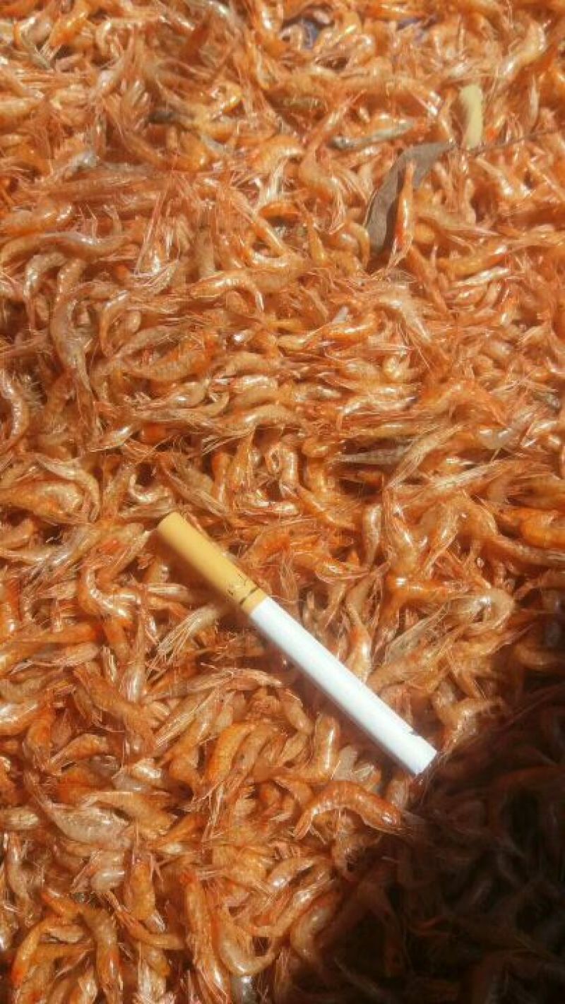 红虾干