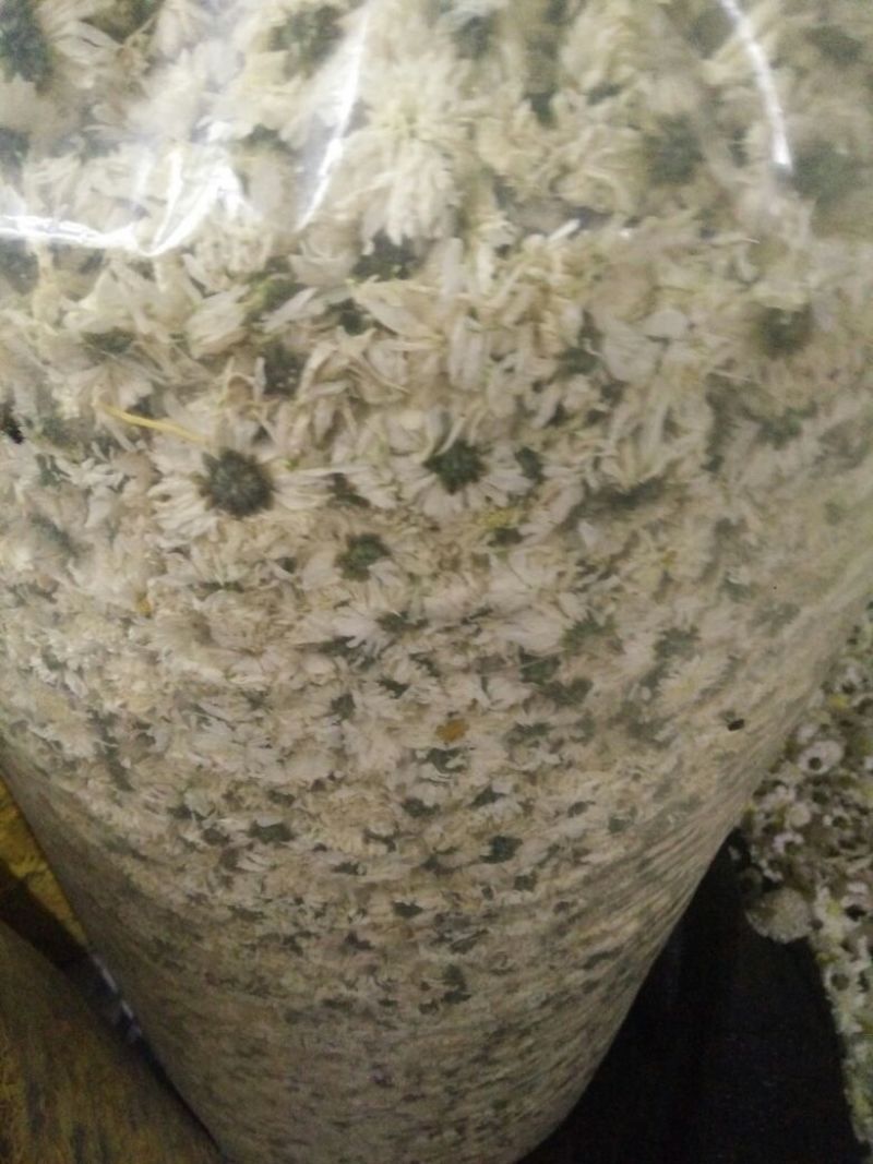 菊花茶一级