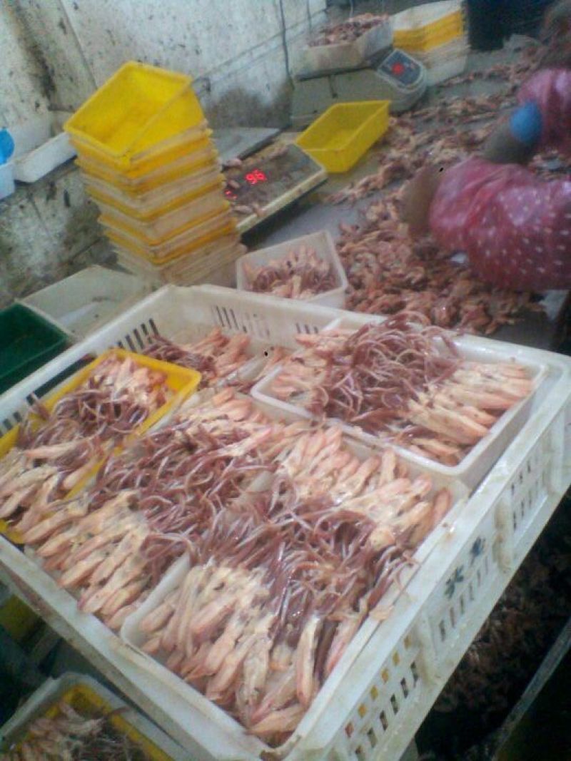 鸭舌