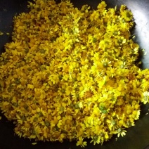 野菊花袋装