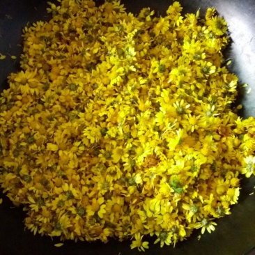 野菊花袋装