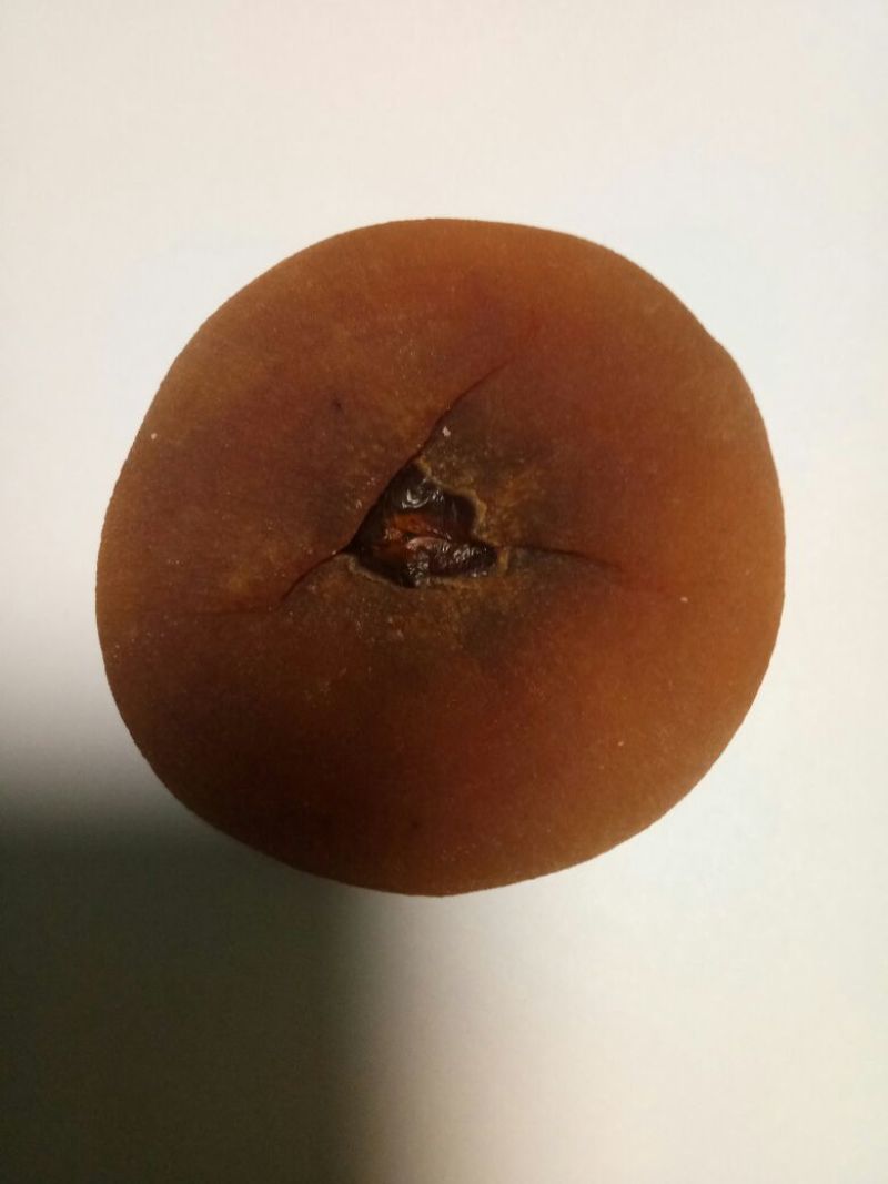 柿饼1~2两