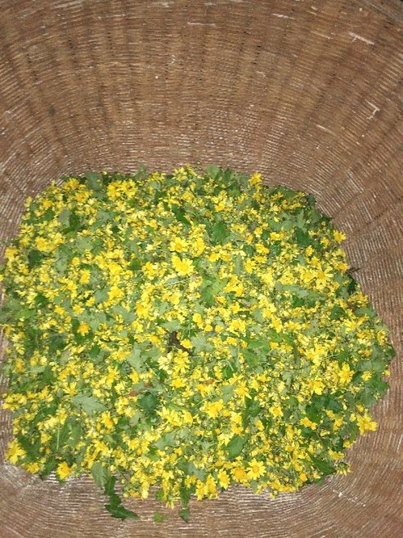 野菊花袋装