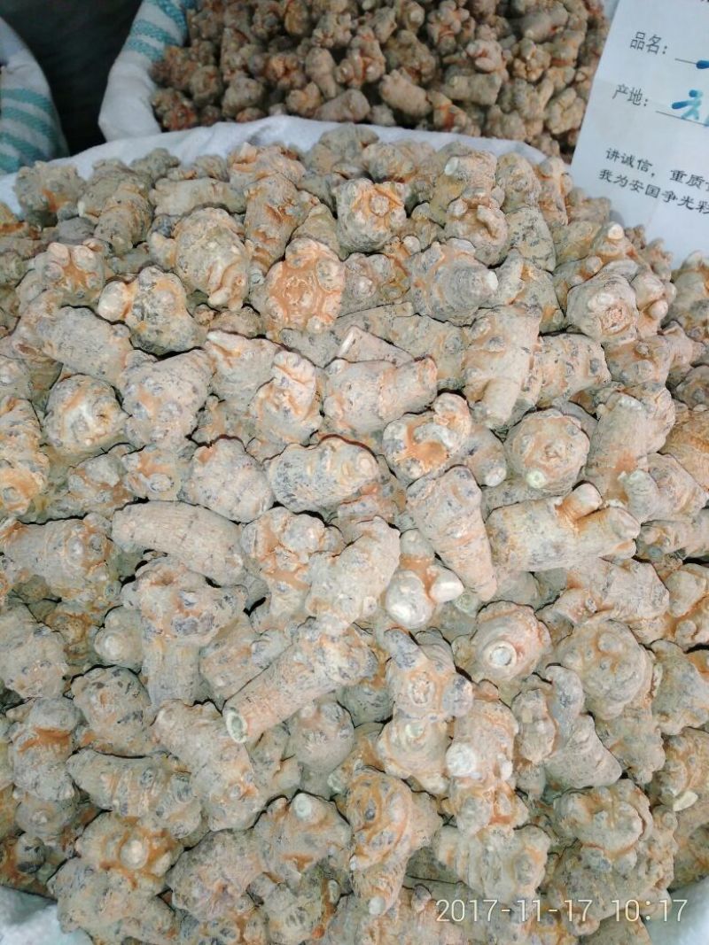 三七选货30头