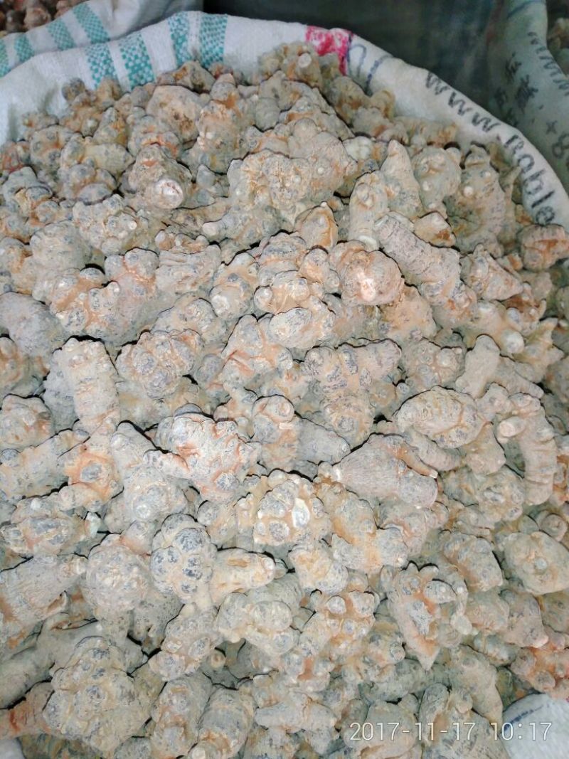 三七选货30头