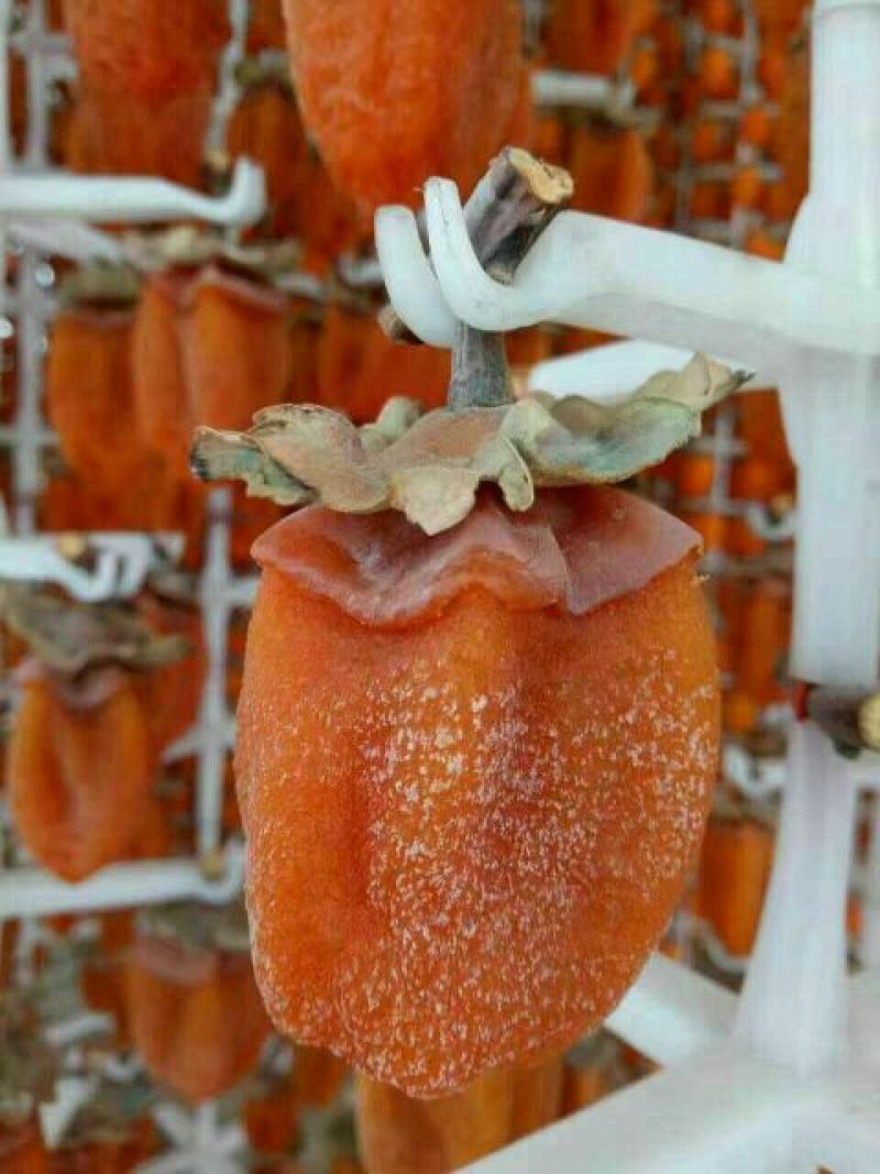 柿饼1~2两