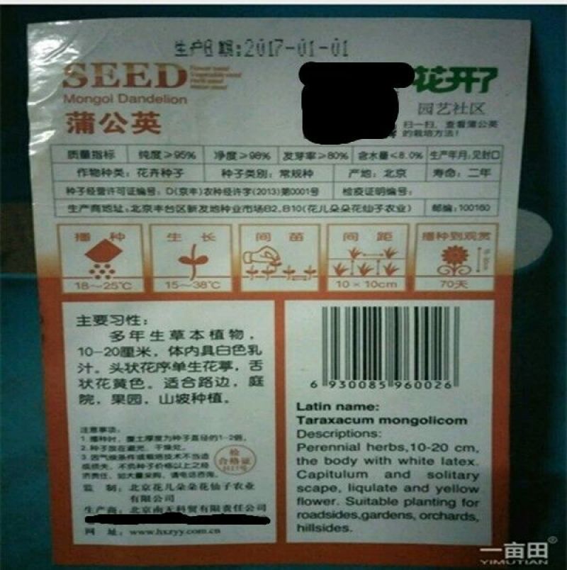 蒲公英种子95%以上