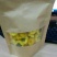 黄山贡菊2.5~3米