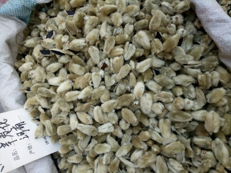 辛夷大花河南干货2斤起包邮量大从优各种规格