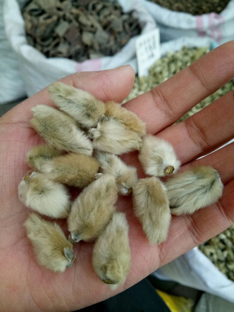 辛夷大花河南干货2斤起包邮量大从优各种规格