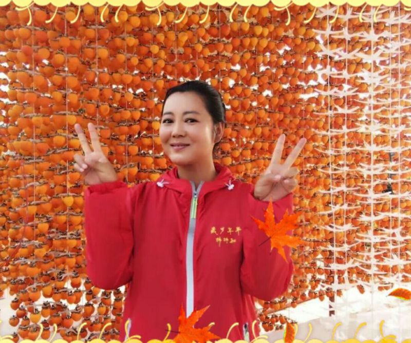 柿饼1~2两