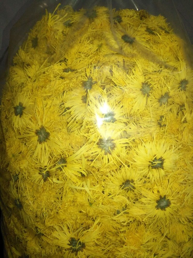 金丝皇菊茶一级