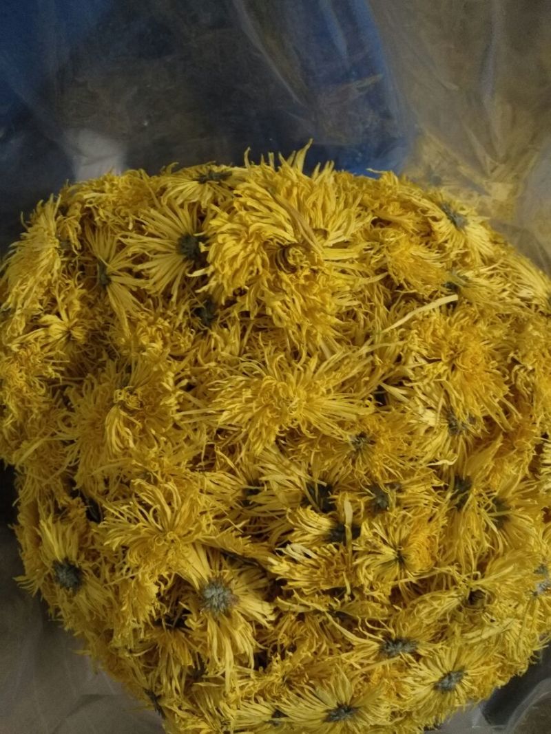 金丝皇菊茶一级