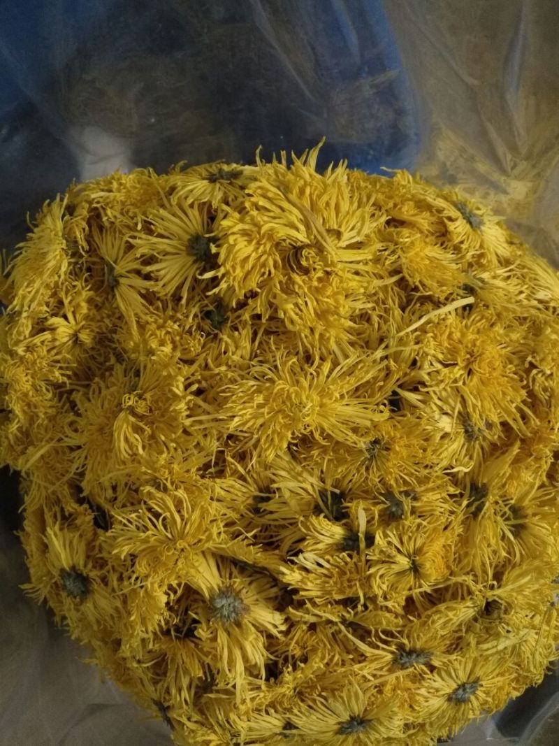 金丝皇菊茶一级