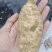 天麻，天麻籽，大中小规格齐全，欢迎新老顾客抓紧时间下单。