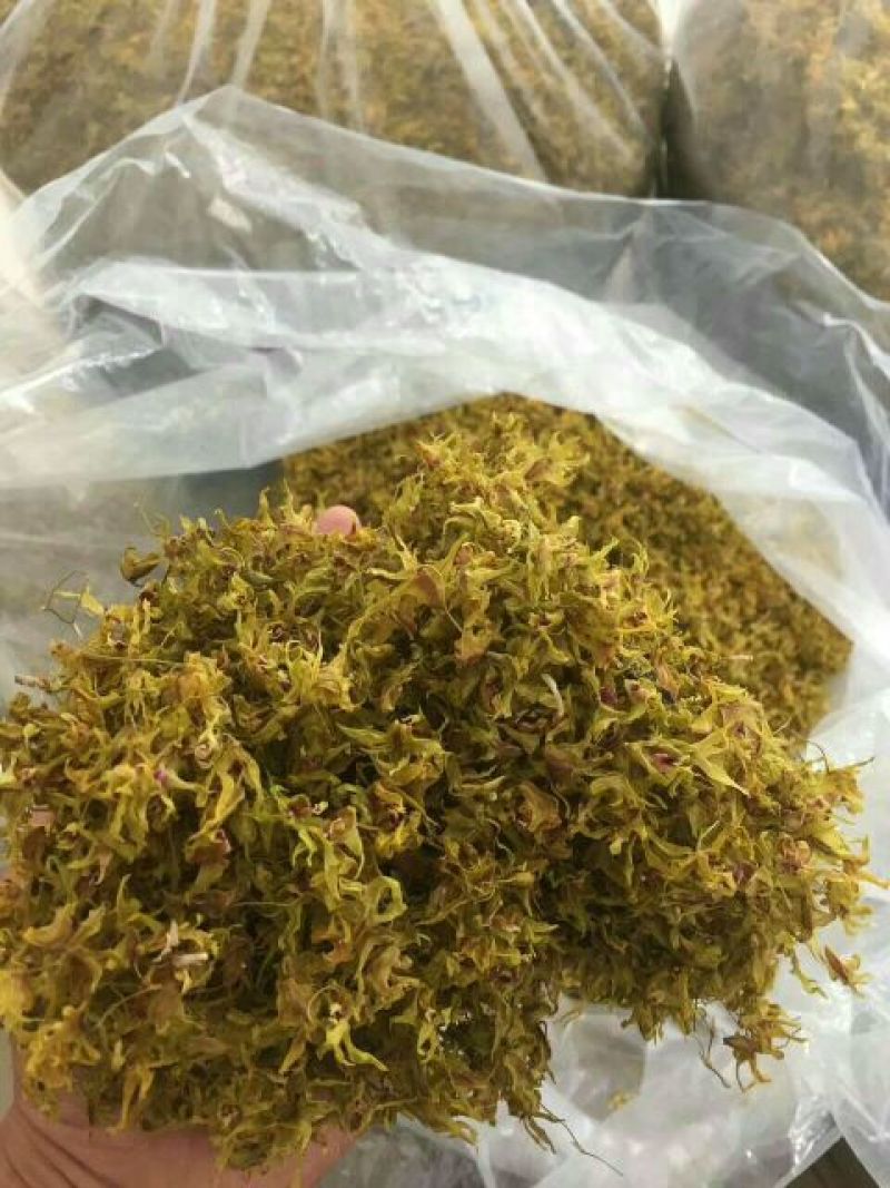 浙江雁荡山铁皮石斛花散装歡迎咨詢，