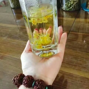 浙江雁荡山铁皮石斛花散装歡迎咨詢，