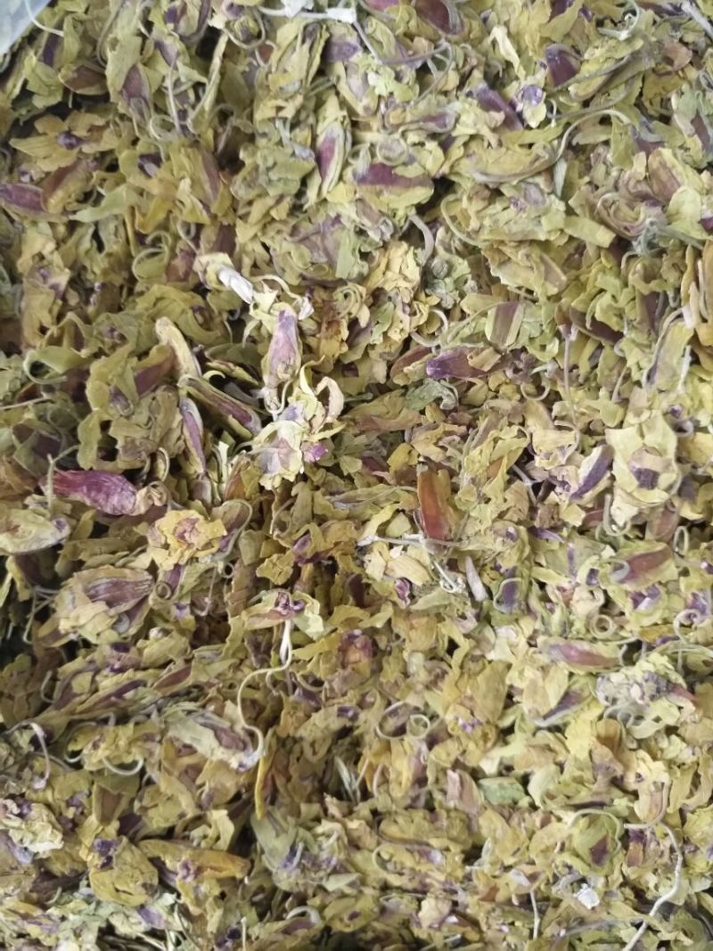 浙江雁荡山铁皮石斛花散装歡迎咨詢，