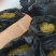 浙江雁荡山铁皮石斛花散装歡迎咨詢，
