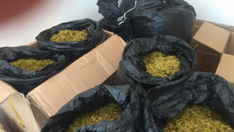 浙江雁荡山铁皮石斛花散装歡迎咨詢，