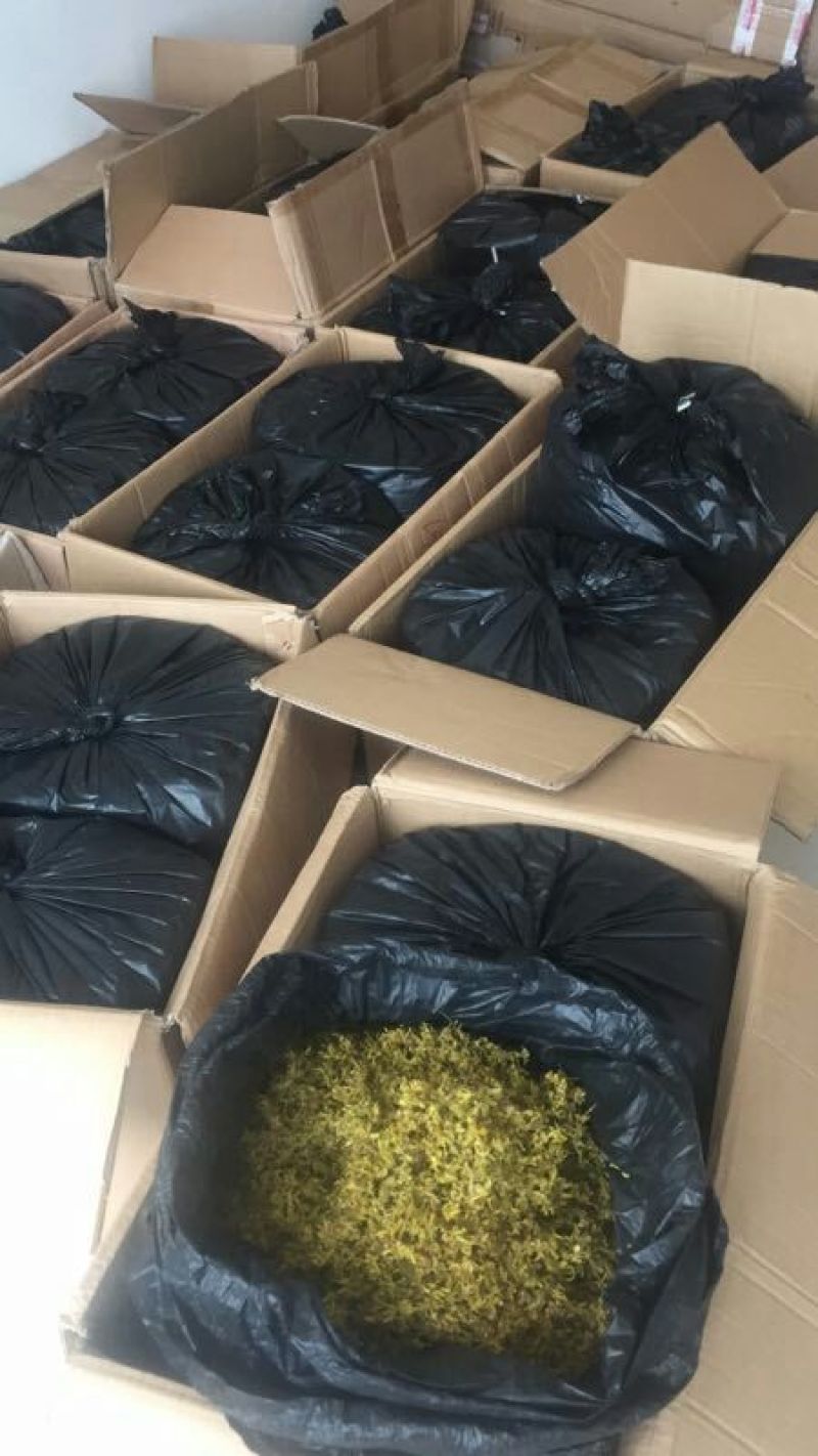 浙江雁荡山铁皮石斛花散装歡迎咨詢，
