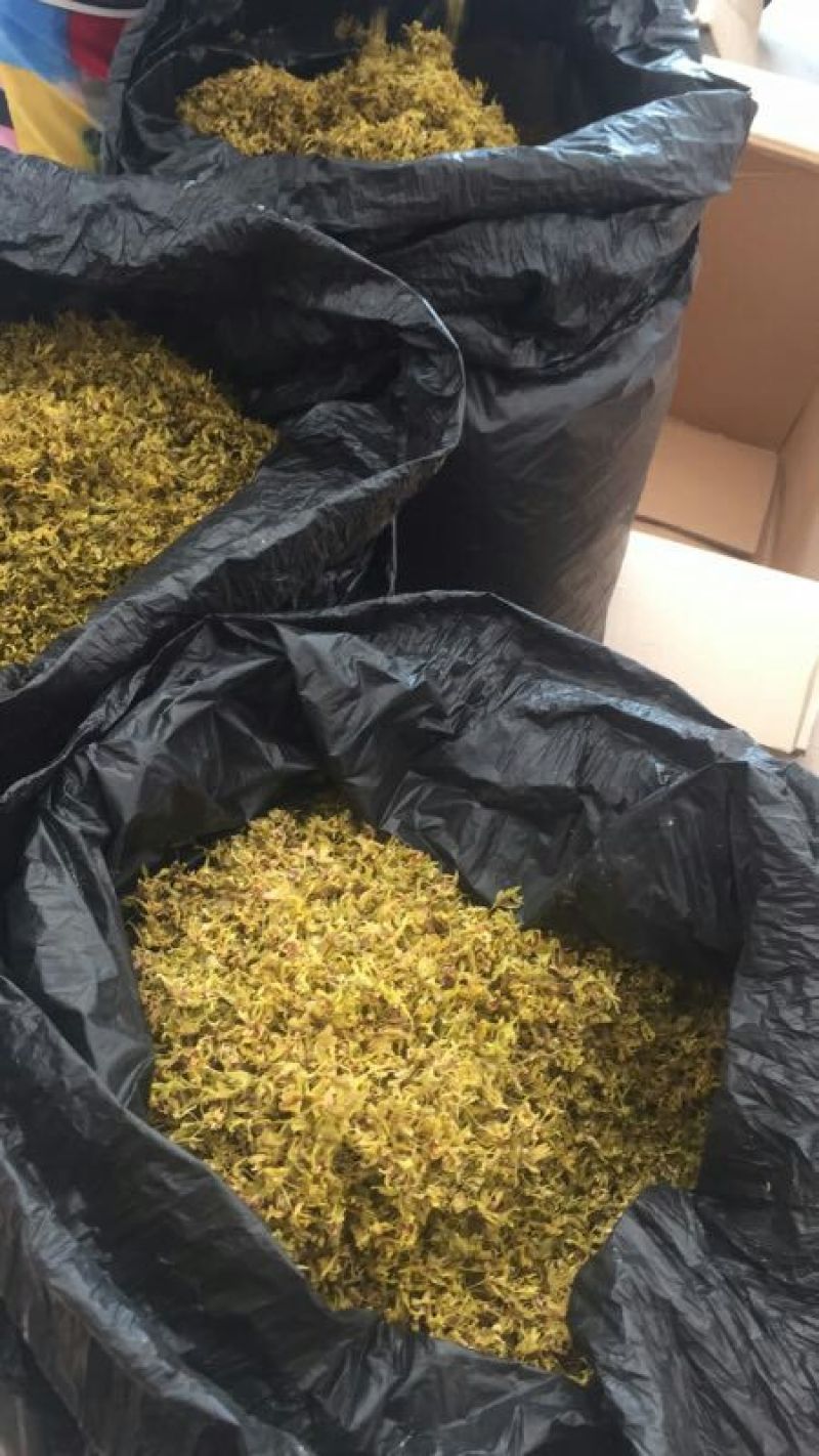 浙江雁荡山铁皮石斛花散装歡迎咨詢，