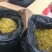 浙江雁荡山铁皮石斛花散装歡迎咨詢，