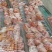 柿饼2~2.5两