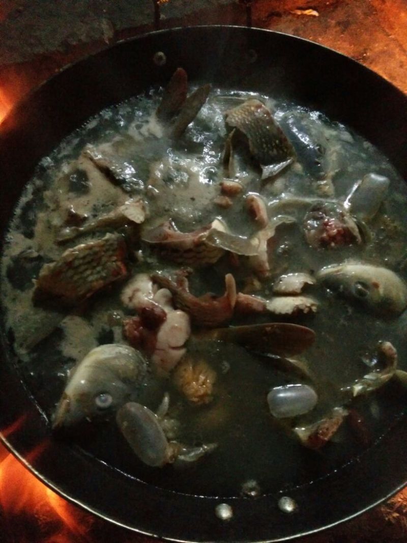 河鲤鱼1~2公斤食用