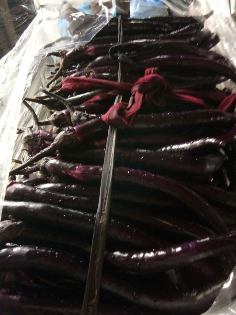 长茄子2两以上，品种2010，领秀，光度亮，线条直