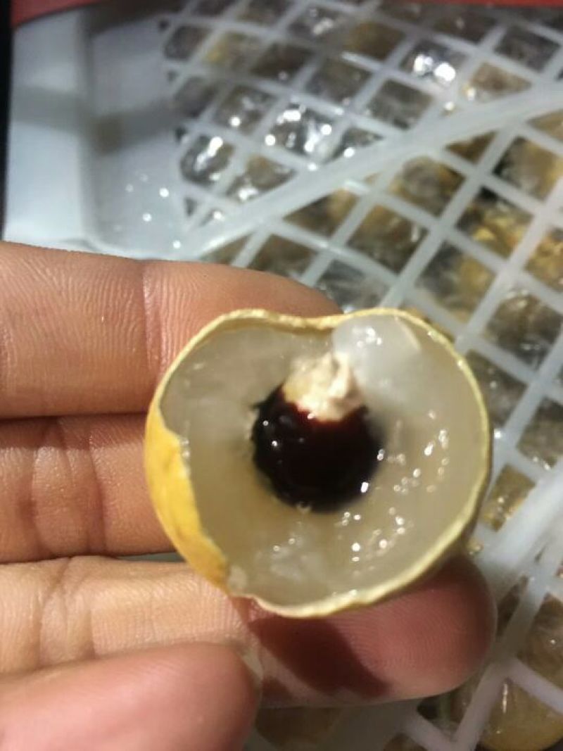 龙眼25毫米以上精品！量大从优