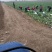 日本青毛豆18~24克