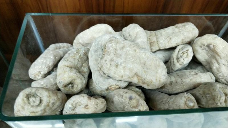 云南天麻昭通天麻无硫昭通选装天麻非安徽天麻
