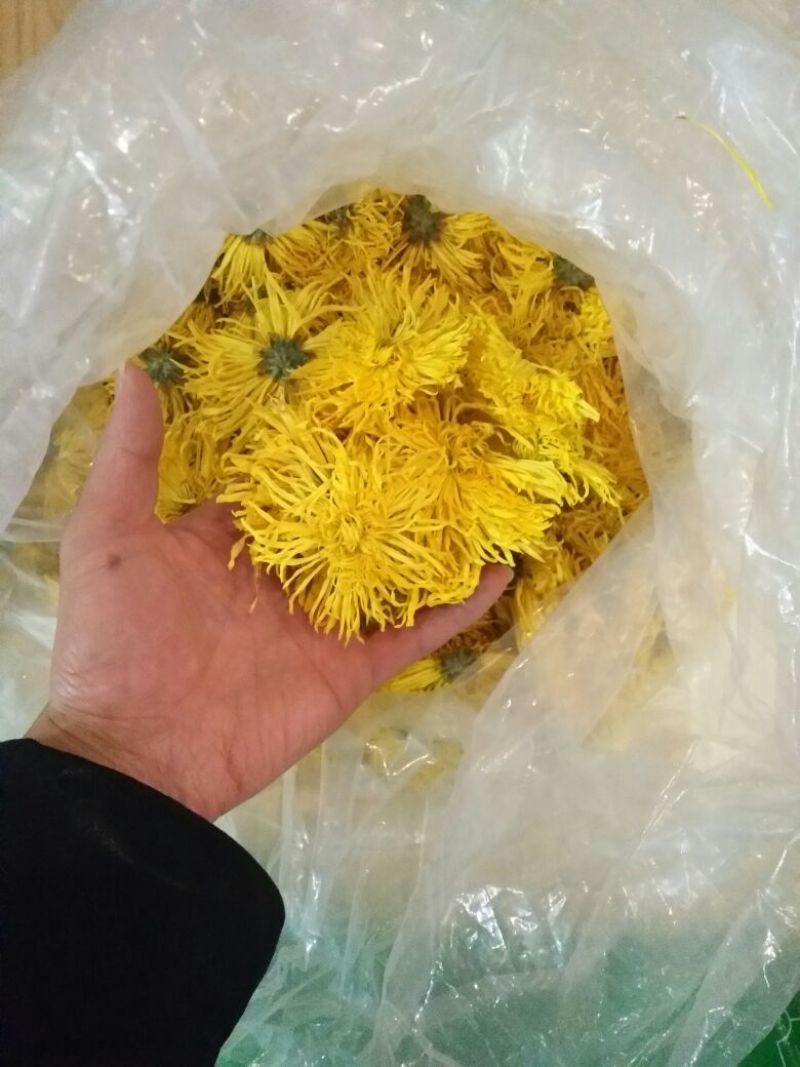 皇菊茶一级