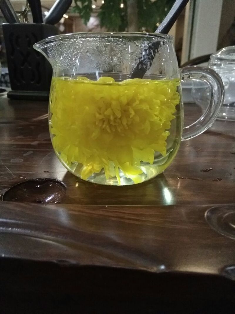 皇菊茶一级