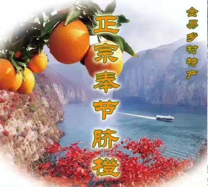 奉节脐橙65mm以下