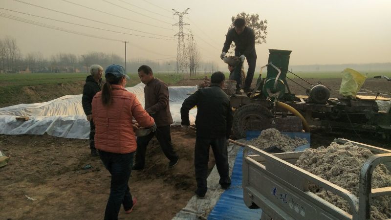 红薯粉条中粉