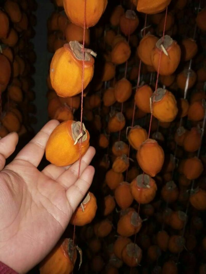 柿饼1~2两