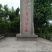 大竹香椿芽红香椿，红油椿，红叶香椿，大竹香椿