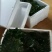 草莓苗品种齐全免费提供种植技术产地发货