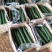 黄瓜干花带刺25公分以上，现已大量上市，欢迎订购