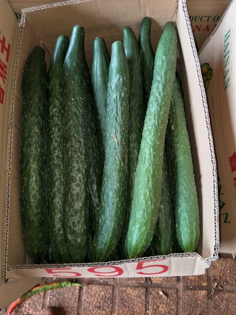 黄瓜干花带刺25公分以上，现已大量上市，欢迎订购