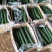 黄瓜干花带刺25公分以上，现已大量上市，欢迎订购