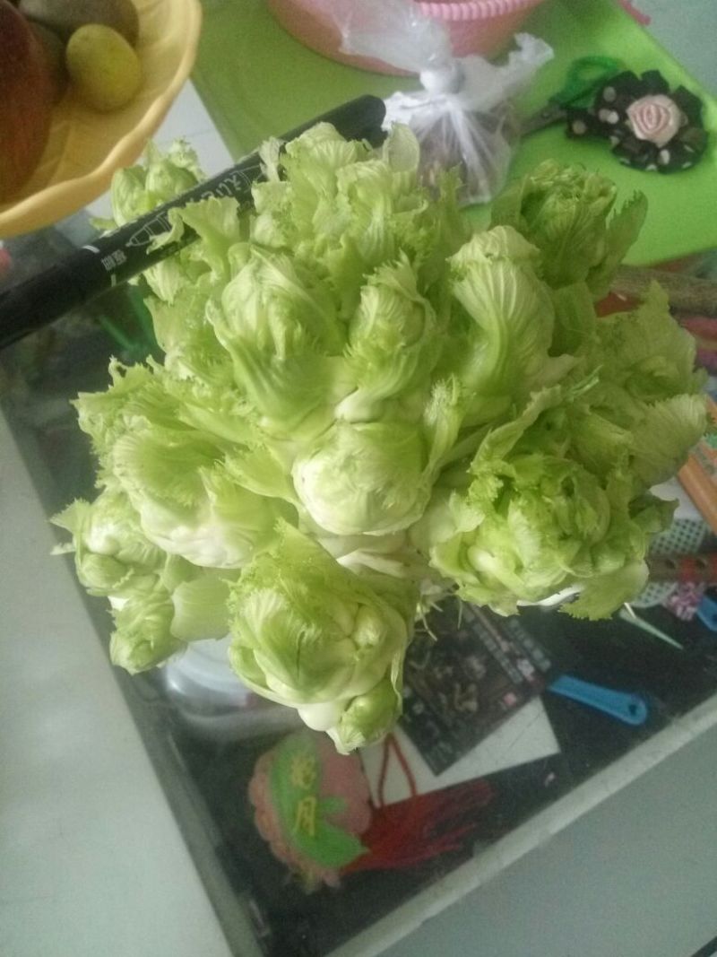 儿菜净货2斤半以上