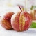 早酥红梨苗0.8~3cm80cm以上