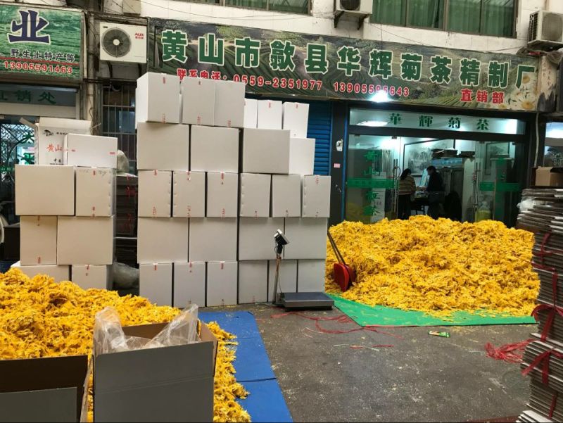 皇菊茶