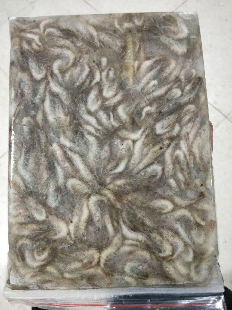 青虾冻虾26~30只/kg