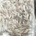 青虾冻虾26~30只/kg
