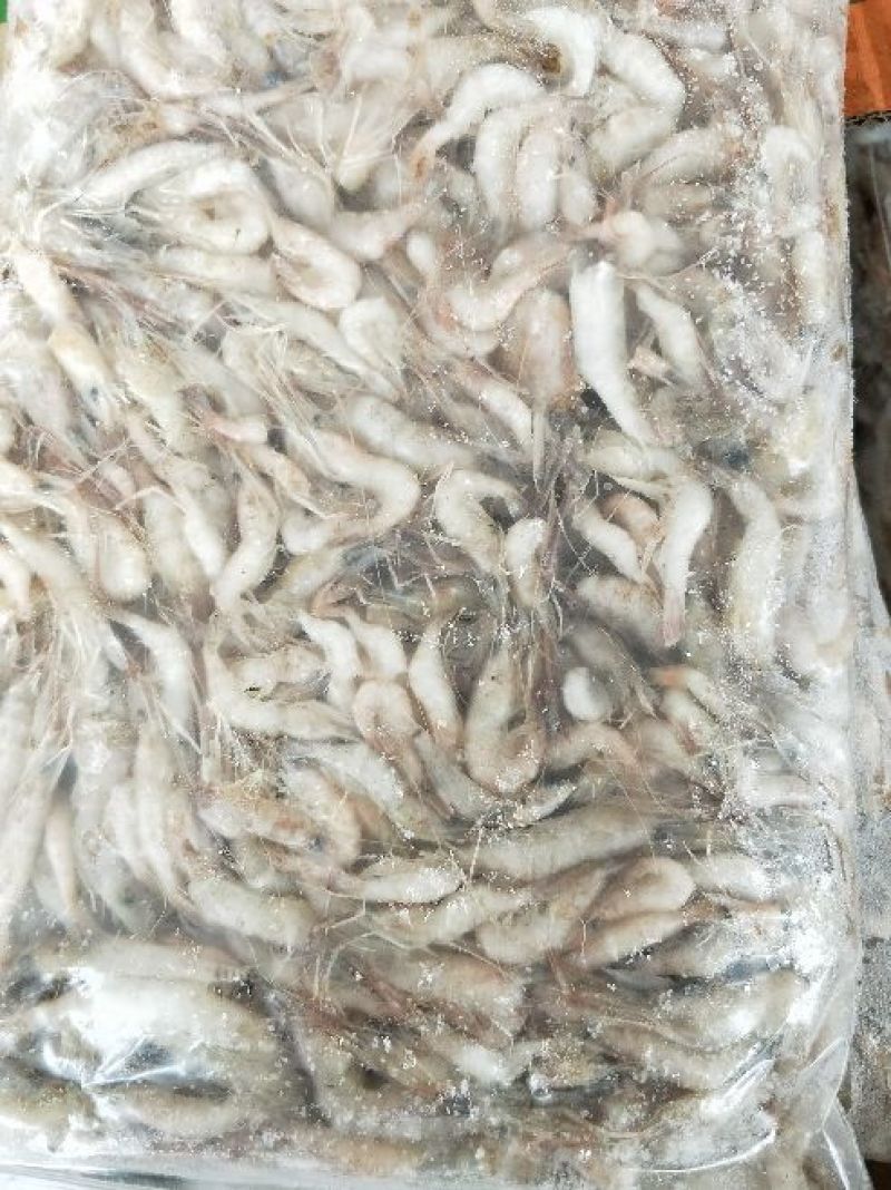 青虾冻虾26~30只/kg